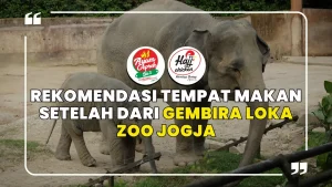 Rekomendasi Tempat Makan Setelah dari Gembira Loka Zoo Jogja, Ayam Geprek Sa'i Janturan Cuma Sekitar 5 Menit!